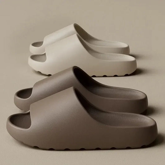 Slides V1